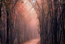 德国足球队表现出色，赢得全部比赛的胜利