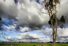 德国足球队表现出色，赢得全部比赛的胜利