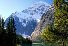 德国足球队表现出色，赢得全部比赛的胜利