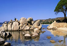 德国足球队表现出色，赢得全部比赛的胜利